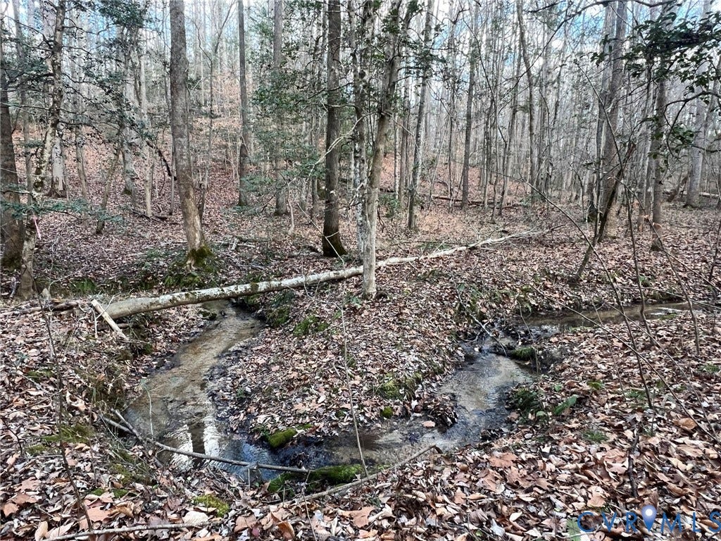 0 Tunstall Road, New Kent, VA 23124 View of nature