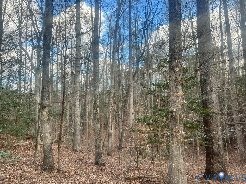 0 Tunstall Road, New Kent, VA 23124 View of woods