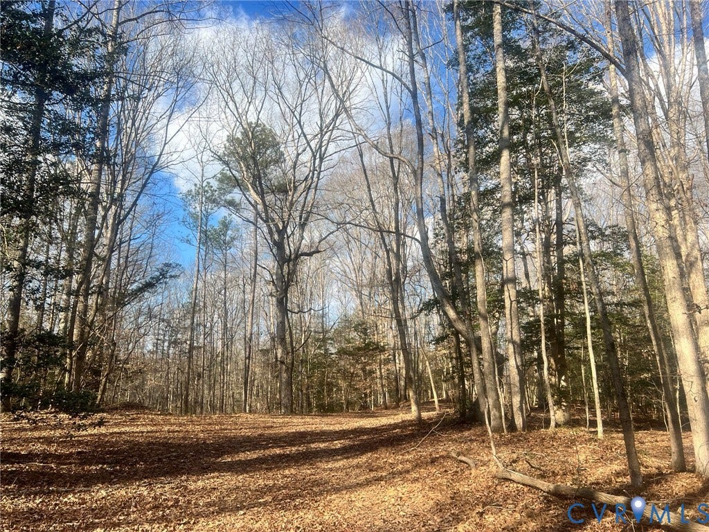 0 Tunstall Road, New Kent, VA 23124 View of wooded area