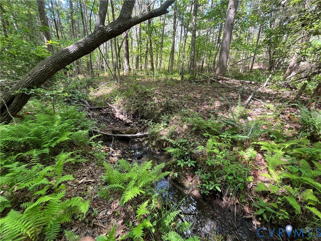 0 Youngstown Road, Goochland, Goochland, VA 23063 0 Youngstown Road, Goochland, Goochland, VA 23063