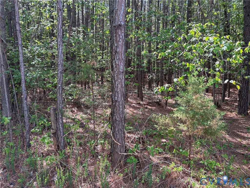 0 Youngstown Road, Goochland, Goochland, VA 23063 0 Youngstown Road, Goochland, Goochland, VA 23063