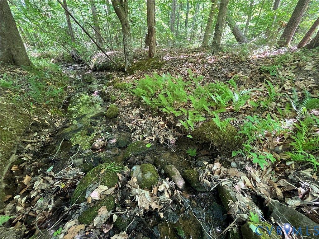 00 Youngstown Road, Goochland, Goochland, VA 23063 00 Youngstown Road, Goochland, Goochland, VA 23063