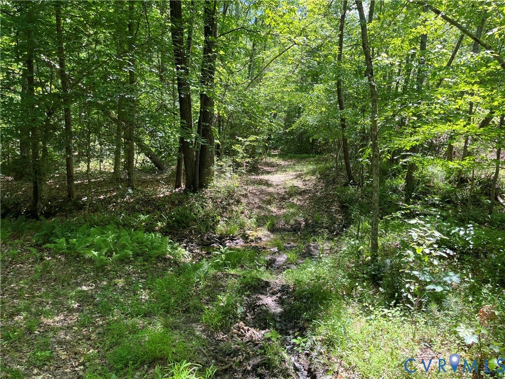 00 Youngstown Road, Goochland, Goochland, VA 23063 00 Youngstown Road, Goochland, Goochland, VA 23063