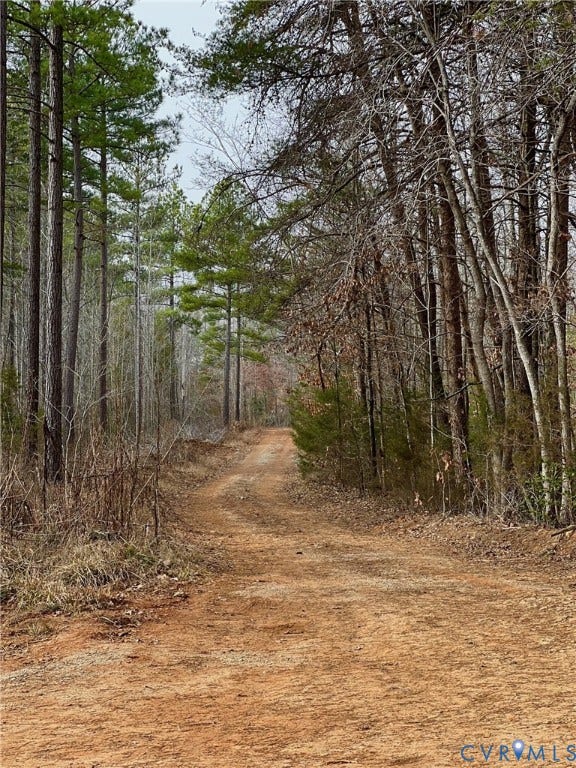 View of woods and access road