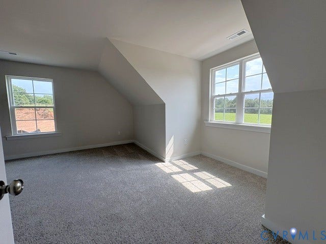 162 Bacon Bit Ln, Louisa, VA 23093 Light-filled room featuring sloped ceilings, two multi-pane windows, neutral carpeting, and painted walls