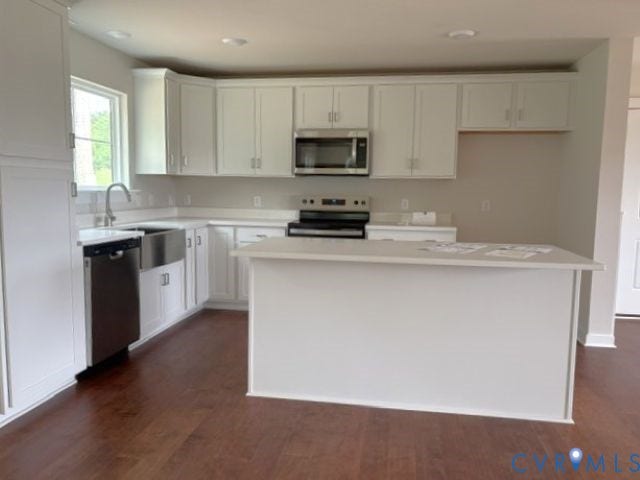 162 Bacon Bit Ln, Louisa, VA 23093 Modern kitchen featuring white cabinetry, a central island, stainless steel appliances, and wood-finish flooring