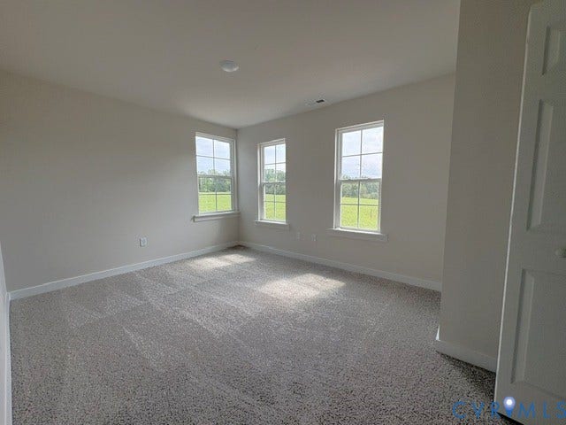 162 Bacon Bit Ln, Louisa, VA 23093 Bright, light-filled room featuring three large double-hung windows framing pastoral landscape views