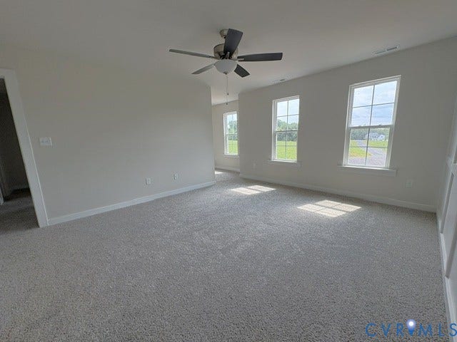 162 Bacon Bit Ln, Louisa, VA 23093 Spacious room flooded with natural light from three large windows, neutral carpet throughout, and a ceiling fan with integrated lighting fixture