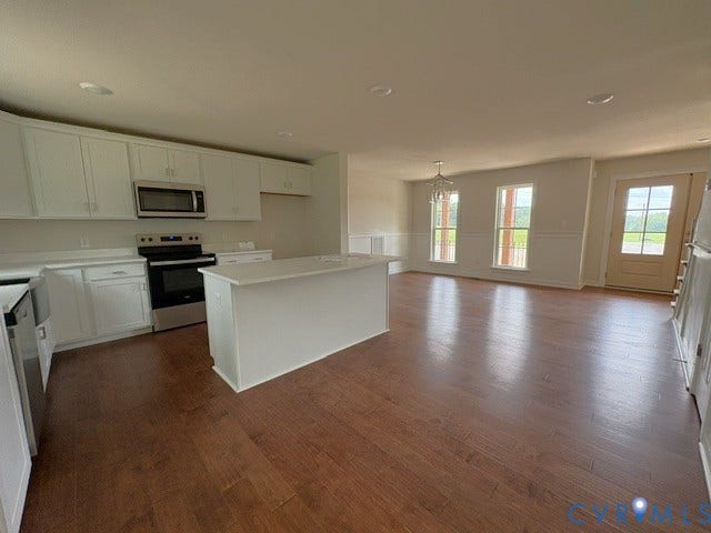 162 Bacon Bit Ln, Louisa, VA 23093 Open-concept kitchen and living area featuring white cabinetry with stainless steel appliances, a large island with white countertops, rich wood-finish flooring throughout, and abundant natural light from multiple glass doors and windows overlooking the landscape