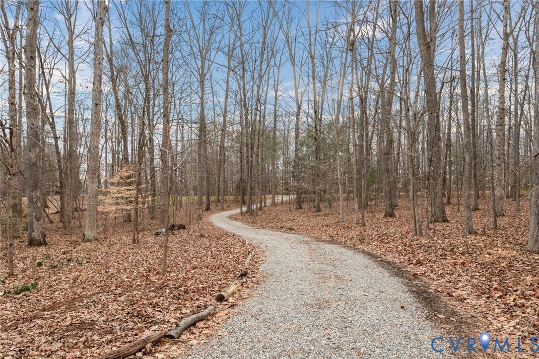 1385 Palmore Road, Powhatan, VA 23139 Driveway