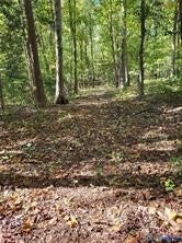 Property photo for 0 Courthouse Road, Dinwiddie, VA