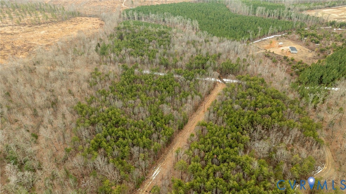 0 Shelton Lane, Mineral, VA 23117 Opportunity for forestry, farming, hunting, and more!