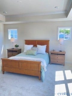 18747 Palisades Ridge, Palisades Cove, Moseley, VA 23120 SNEAK PEEK - Home is ready now!