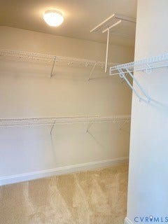 18747 Palisades Ridge, Palisades Cove, Moseley, VA 23120 SNEAK PEEK - Home is ready now!