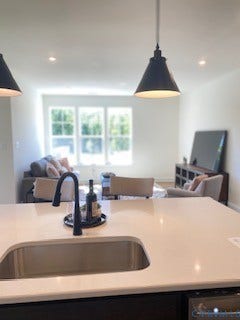 18747 Palisades Ridge, Palisades Cove, Moseley, VA 23120 SNEAK PEEK - Home is ready now!