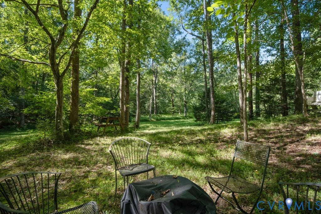 2900 Pleasantwood Road, Powhatan, VA 23139 Side yard by creek