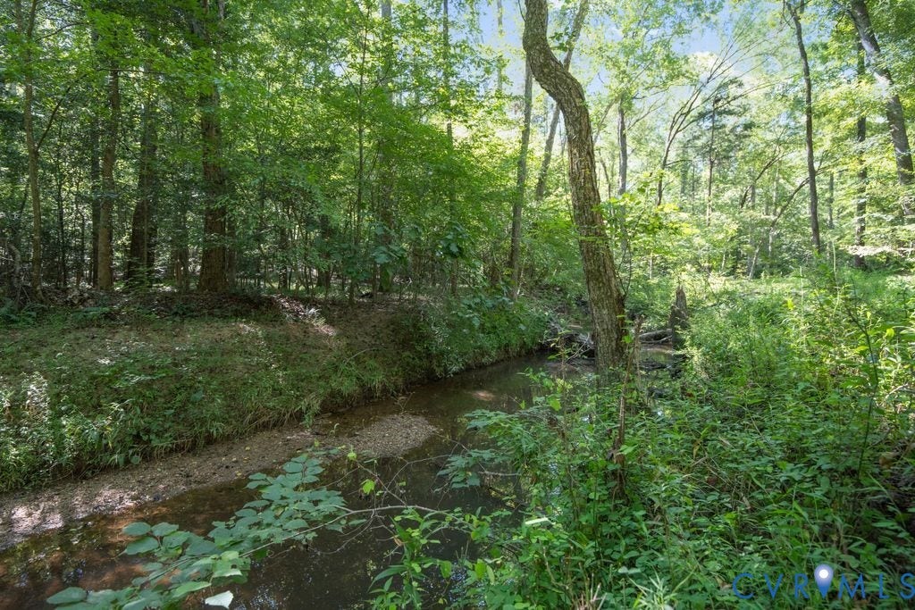 2900 Pleasantwood Road, Powhatan, VA 23139 Jones Creek