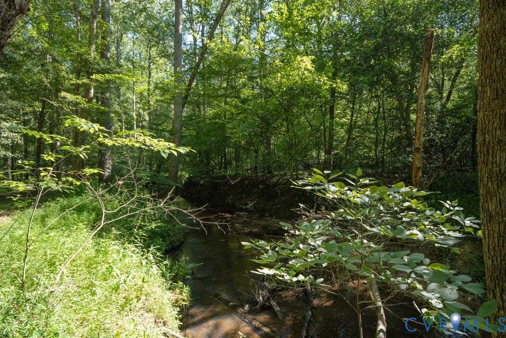 2900 Pleasantwood Road, Powhatan, VA 23139 Jones Creek