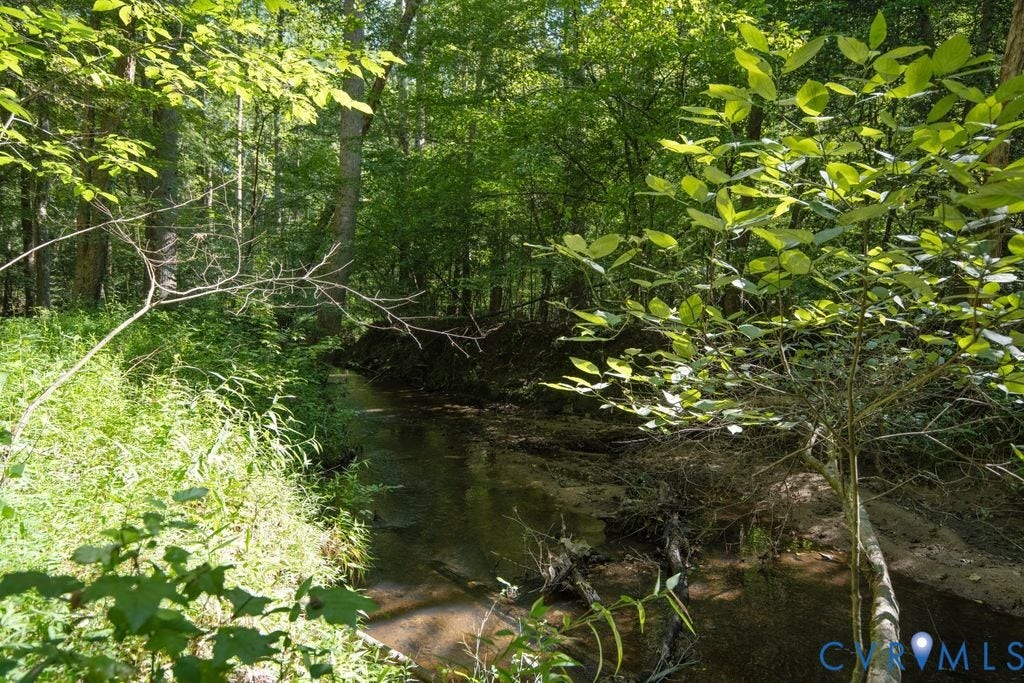 2900 Pleasantwood Road, Powhatan, VA 23139 Jones Creek