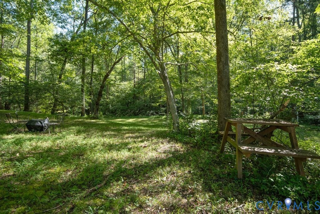 2900 Pleasantwood Road, Powhatan, VA 23139 side yard by creek