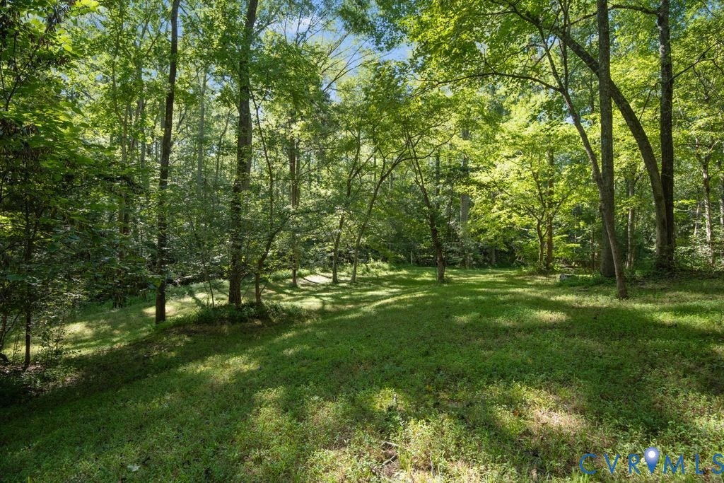2900 Pleasantwood Road, Powhatan, VA 23139 side yard by creek