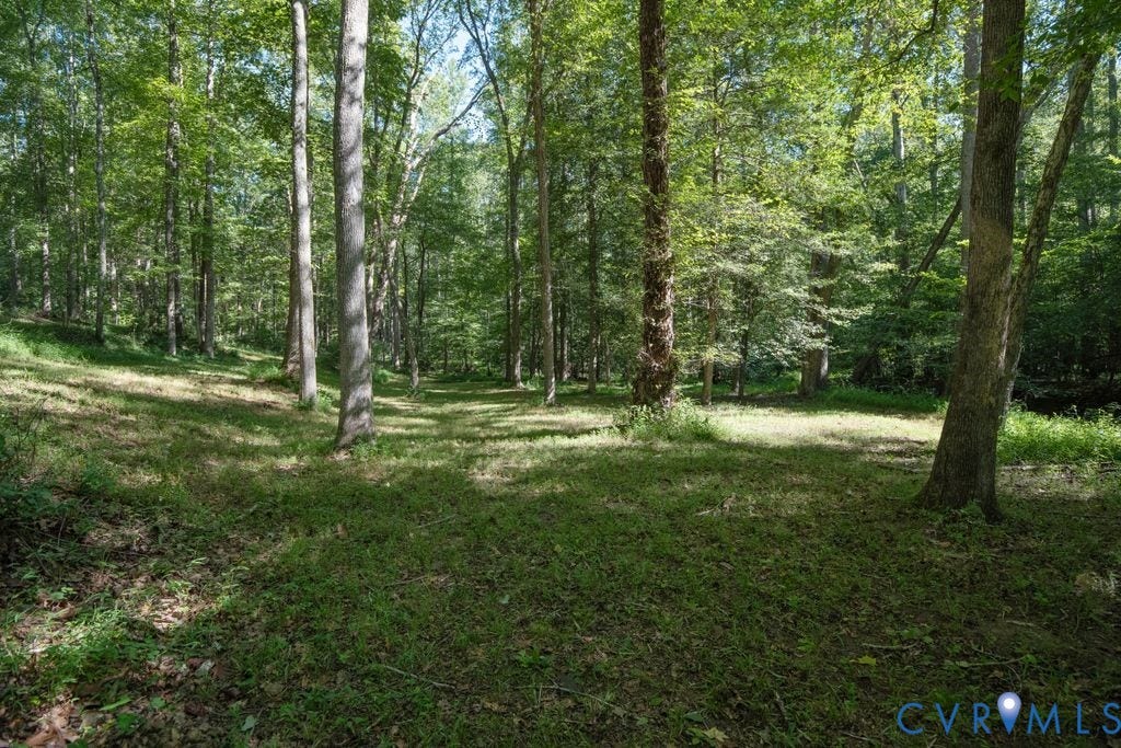 2900 Pleasantwood Road, Powhatan, VA 23139 Side yard by creek