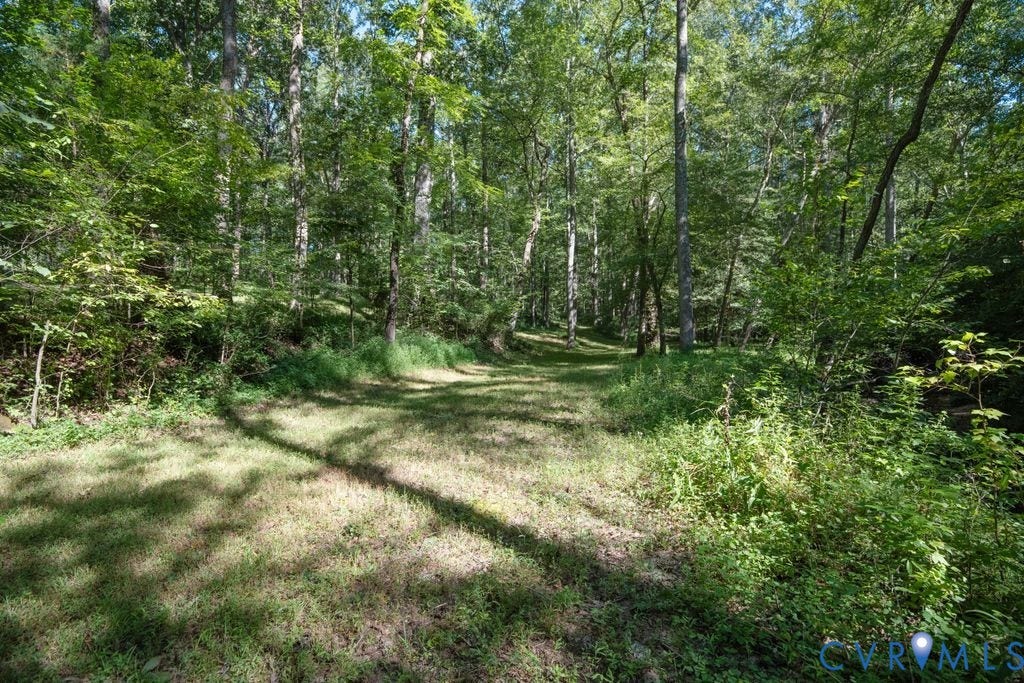 2900 Pleasantwood Road, Powhatan, VA 23139 Side yard by creek