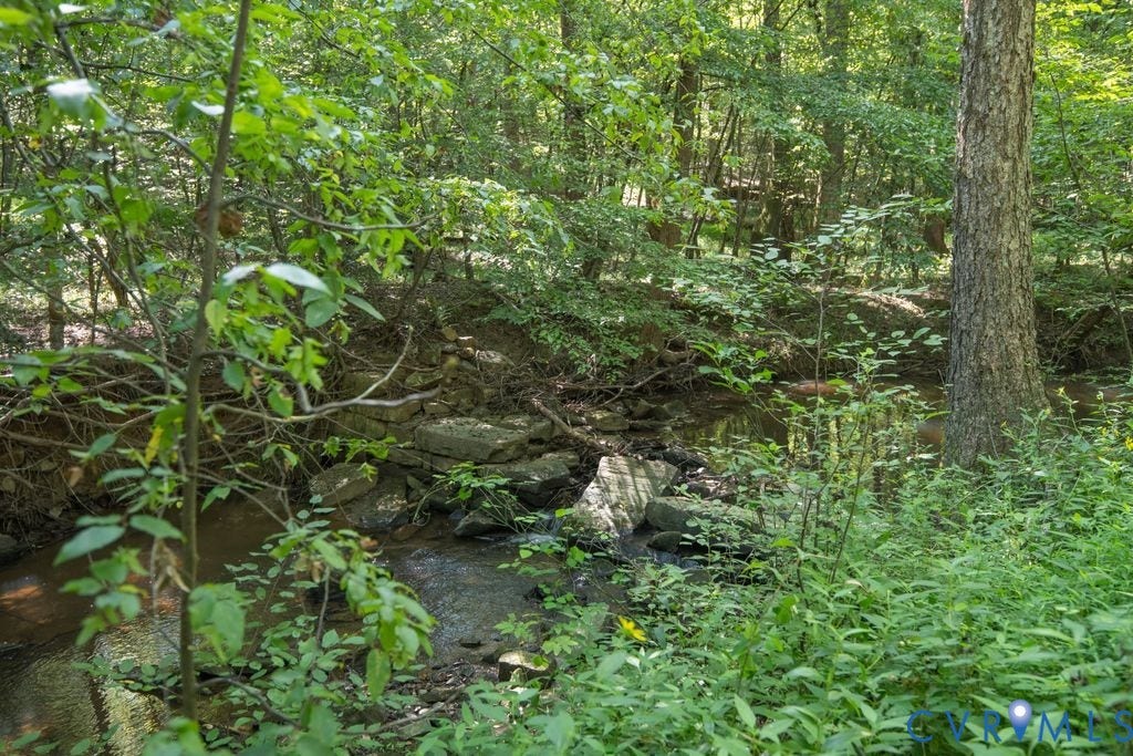 2900 Pleasantwood Road, Powhatan, VA 23139 Jones Creek