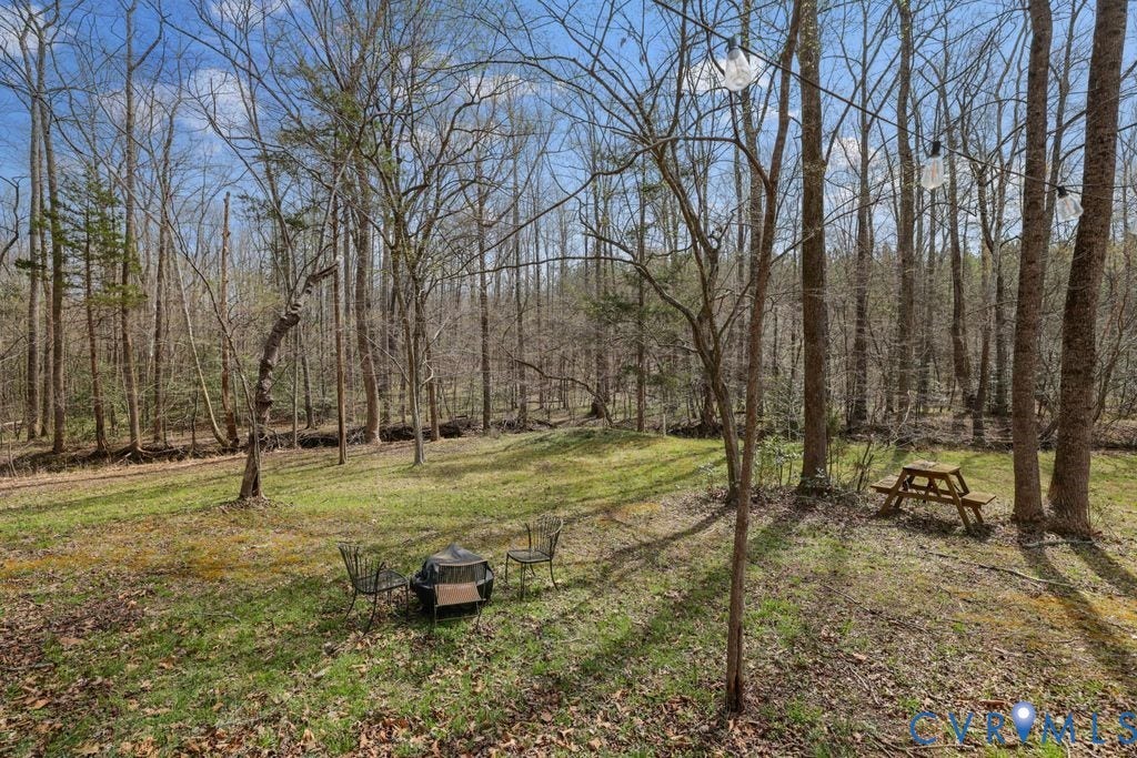 2900 Pleasantwood Road, Powhatan, VA 23139 Side yard by creek