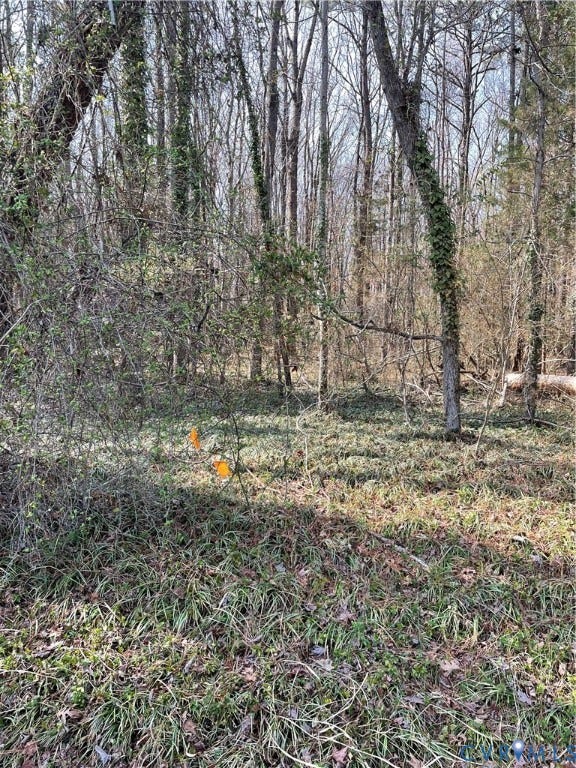 Property photo for 0 Laurel Park Road, Essex, VA