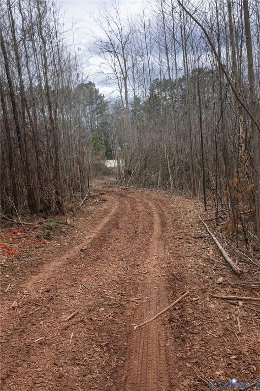 0 Jefferson Highway, Bumpass, VA 23024 0 Jefferson Highway, Bumpass, VA 23024
