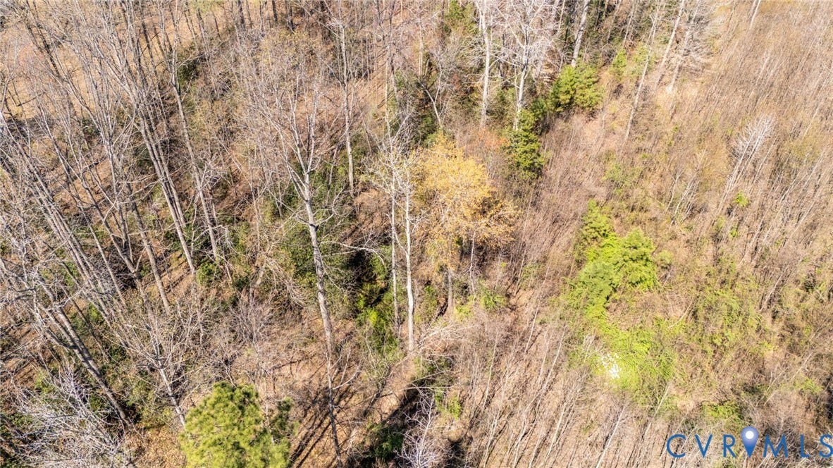 0 Jefferson Highway, Bumpass, VA 23024 0 Jefferson Highway, Bumpass, VA 23024