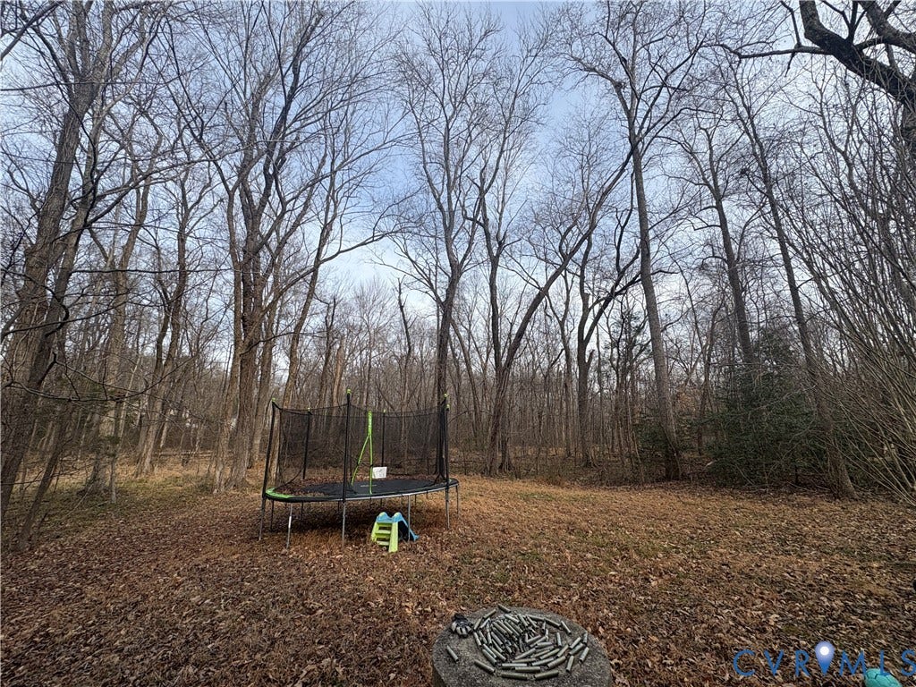 3216 Sherwood Bluff Terrace, Powhatan, VA 23139 View of yard featuring a trampoline