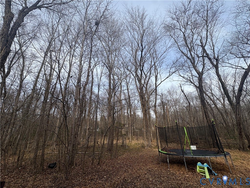 3216 Sherwood Bluff Terrace, Powhatan, VA 23139 View of yard featuring a trampoline