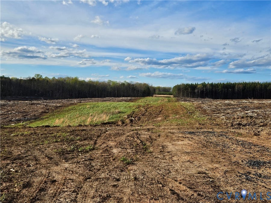 Property photo for 83.86 Ac S James River Road, Buckingham, VA