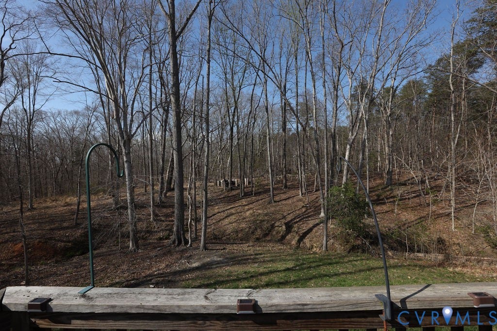 5670 Hickory Street, Powhatan, VA 23139 View of yard