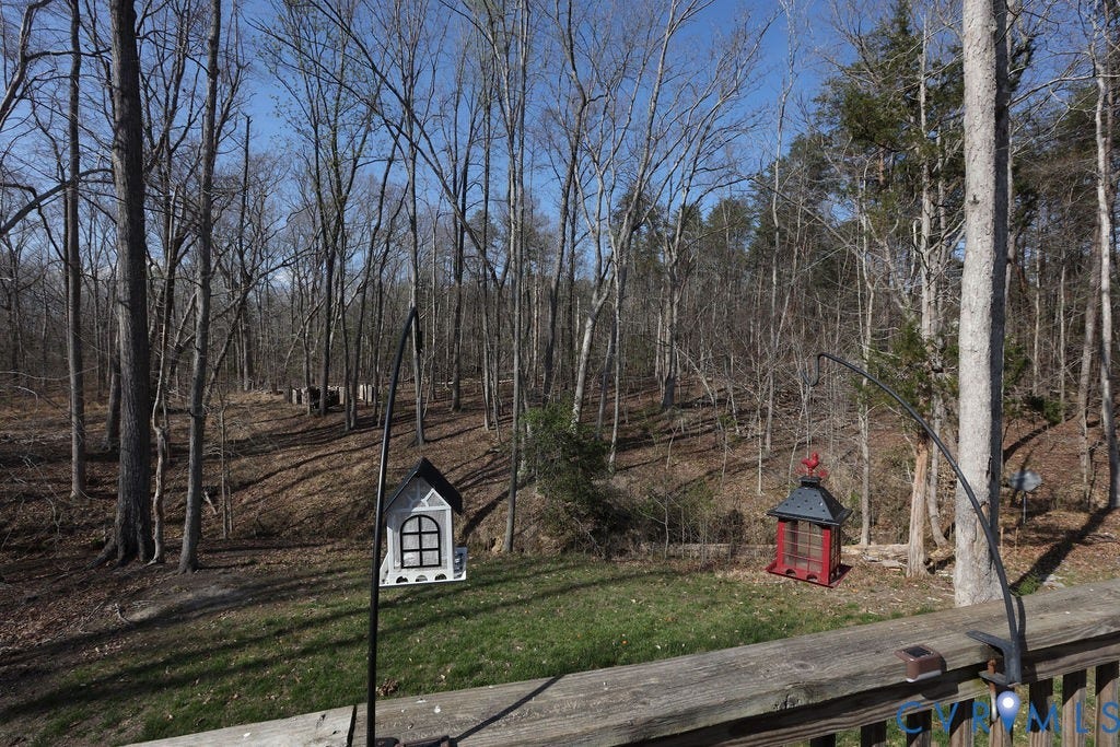5670 Hickory Street, Powhatan, VA 23139 View of green lawn