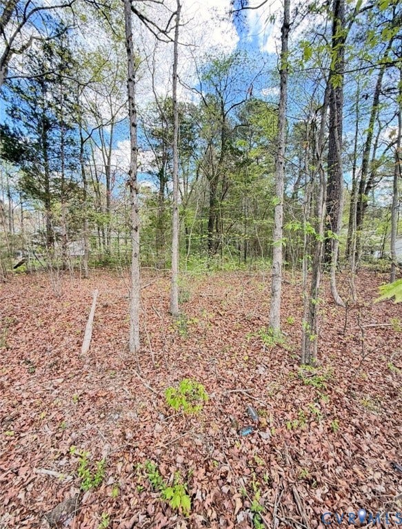 Property photo for 0 Cedar Grove Road, Lawrenceville, VA