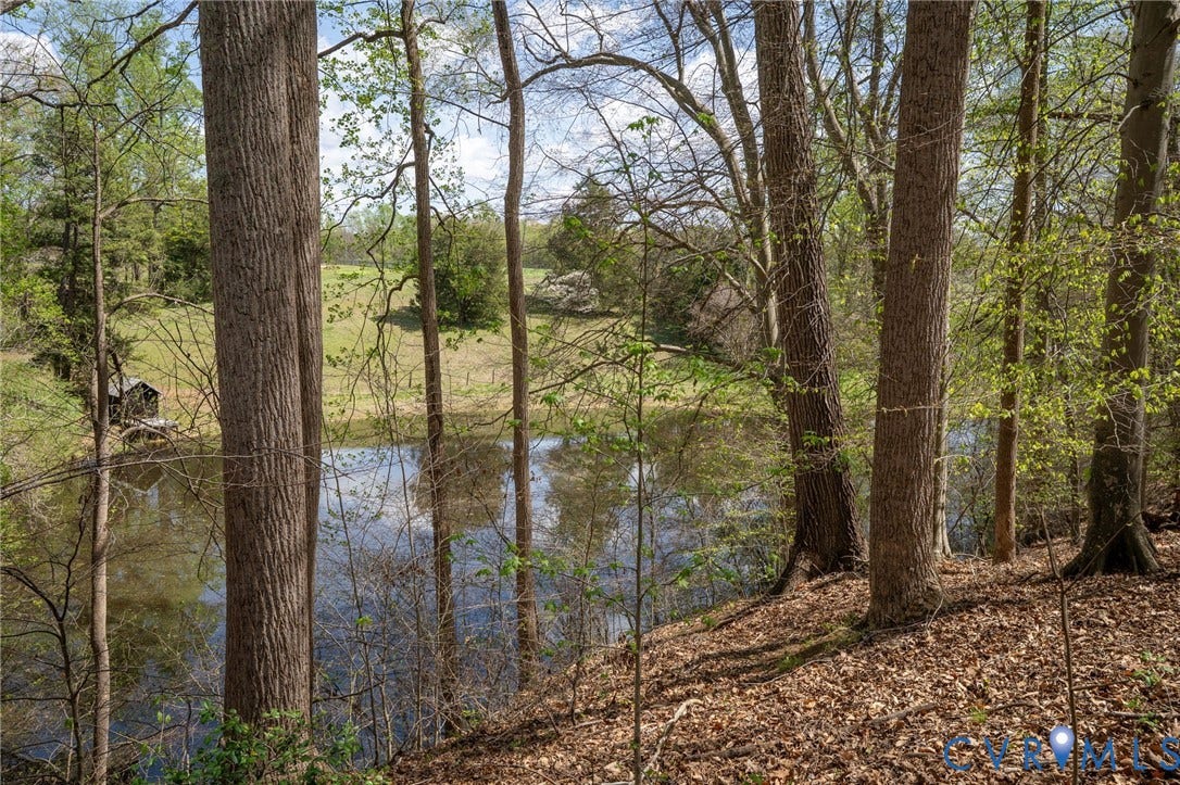 3354 Medway Lane, Level Green, Powhatan, VA 23139 Pond and Horse Farm in back