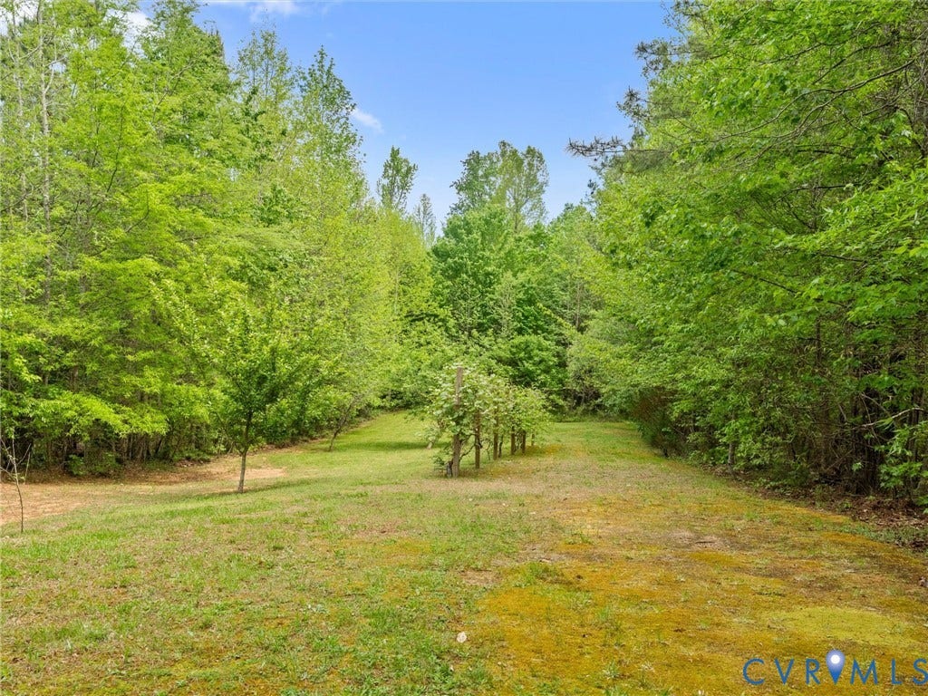 8151 Hidden Valley Court, Hidden Valley, Amelia, VA 23002 Grape vines & apple trees
