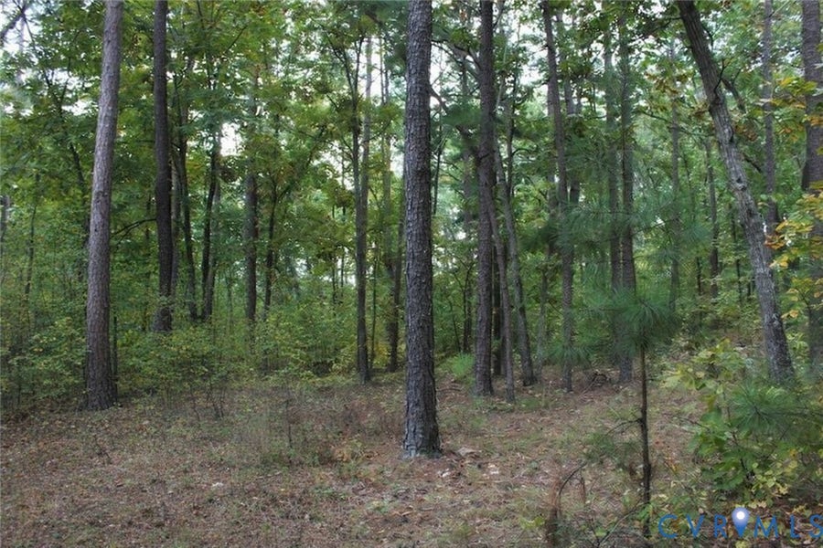 Property photo for 0 N Washington Street, Henrico, VA