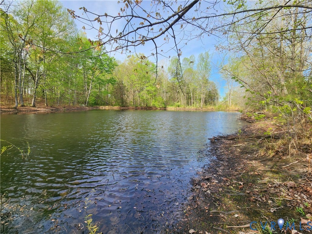 Your very own private pond!  Bass & bluegill have been caught.