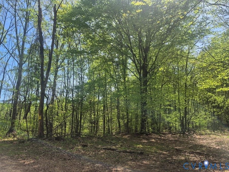 Property photo for 00 Greenfield Drive, Nelson, VA
