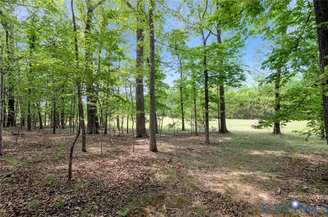3131 Shadow Creek Drive, Powhatan, VA 23139 Wooded parcel featuring mature deciduous trees and an open clearing- plenty of privacy