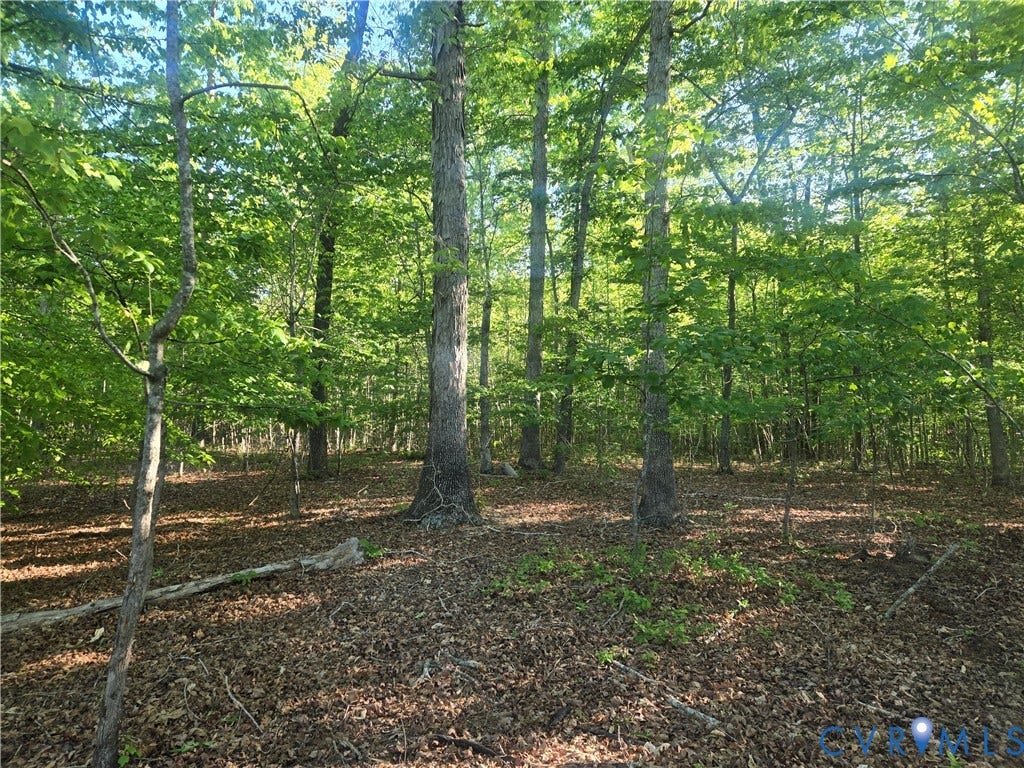 0 Rocky Ford Road, Powhatan, VA 23139 0 Rocky Ford Road, Powhatan, VA 23139