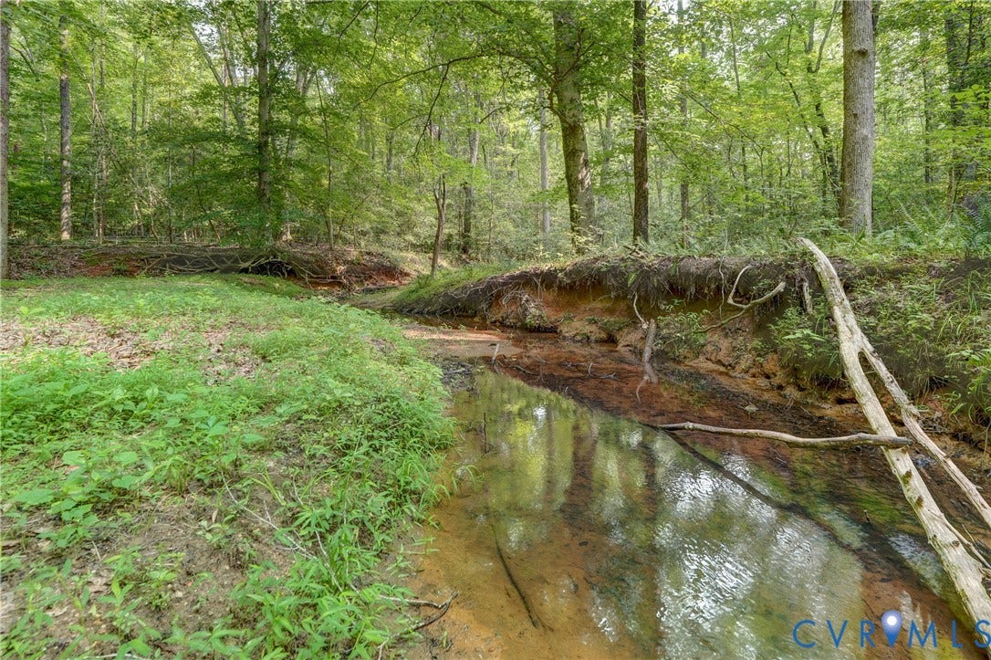 12427 Killigay Lane, Maidens, VA 23102 Perennial stream on the property