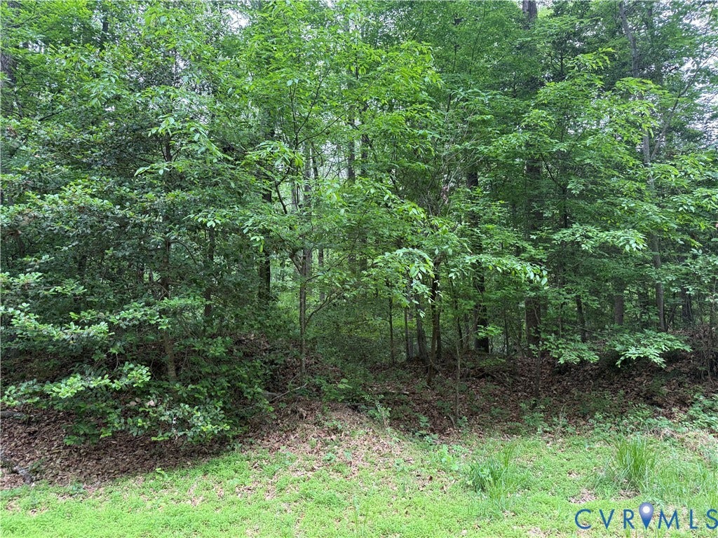 0 Steel Trap Road, New Kent, New Kent, VA 23124 0 Steel Trap Road, New Kent, New Kent, VA 23124