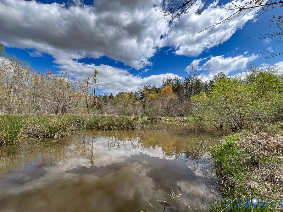 Property photo for 116.32 Acres Gilliam Mill Road, Dillwyn, VA