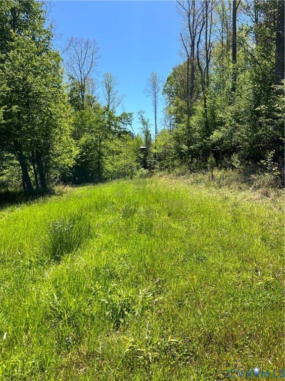 0 Courthouse Road, Louisa, VA 23093 0 Courthouse Road, Louisa, VA 23093