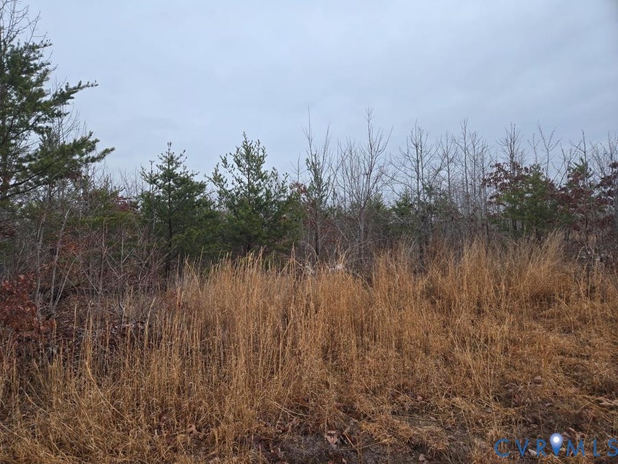 Property photo for 00 Leigh Mountain Rd, Green Bay, VA